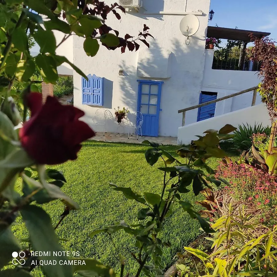 La Casa De La Abuela Guest House Setenil De Las Bodegas Country house
