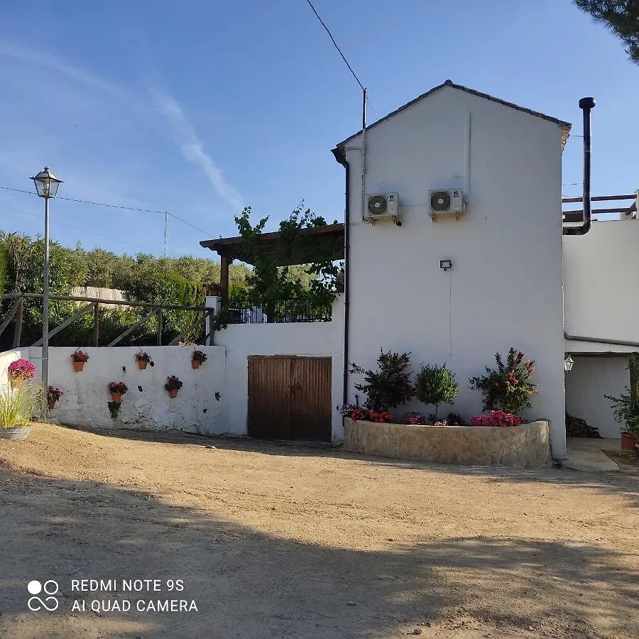 Penzion La Casa De La Abuela Setenil De Las Bodegas 0*,